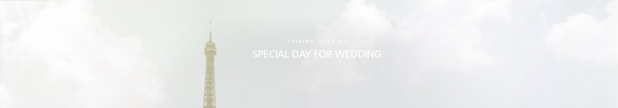 SHINING WEDDING SPECIAL DAY FOR WEDDING